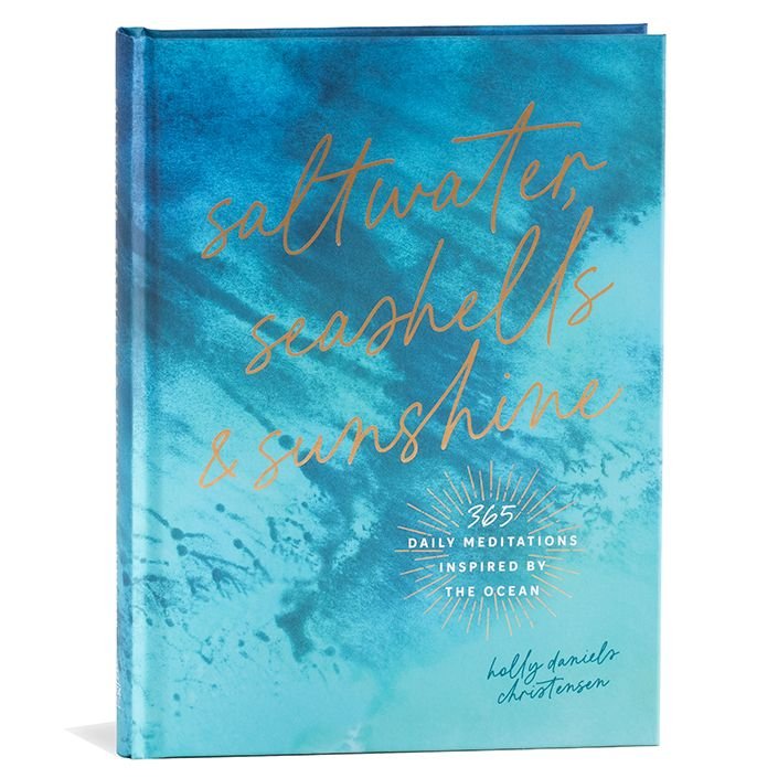 Saltwater Seashells and Sunshine book image 1